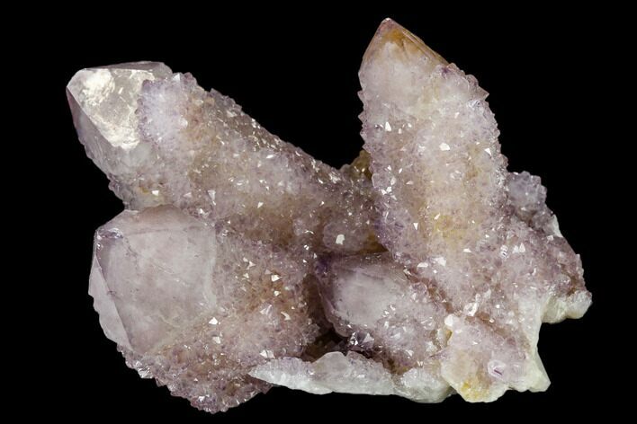 Cactus Quartz (Amethyst) Cluster - South Africa #115126